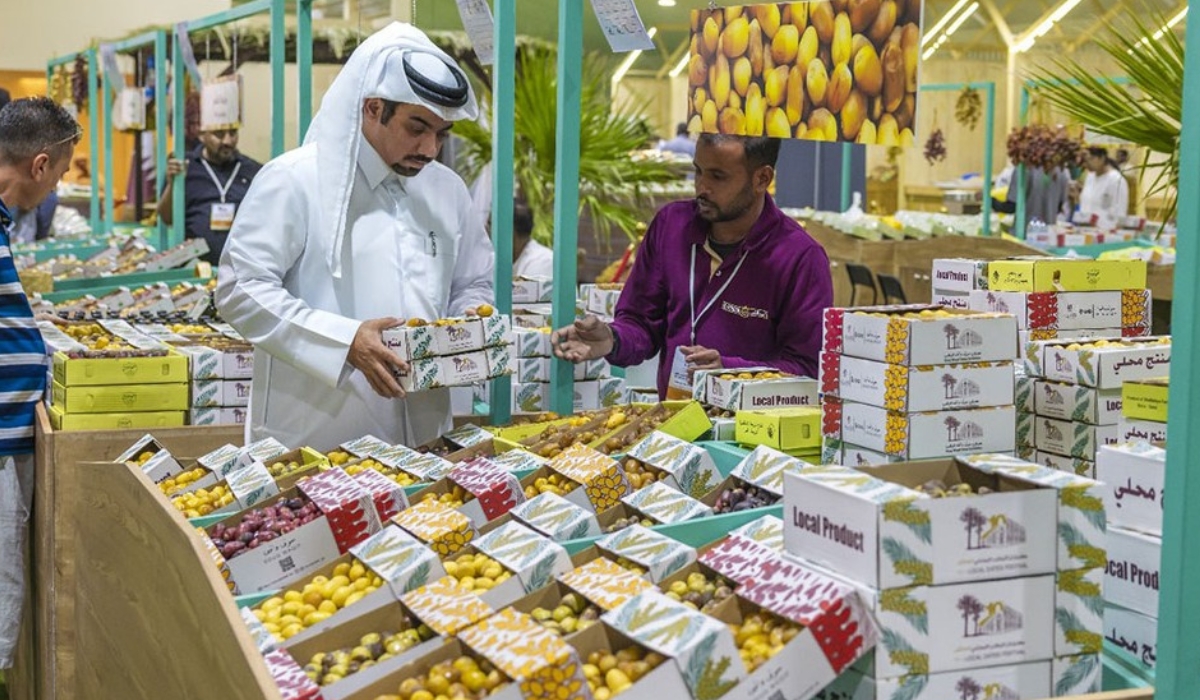 Qatar Local Date Harvesting Season Begins as Farmers Expect Strong Crop